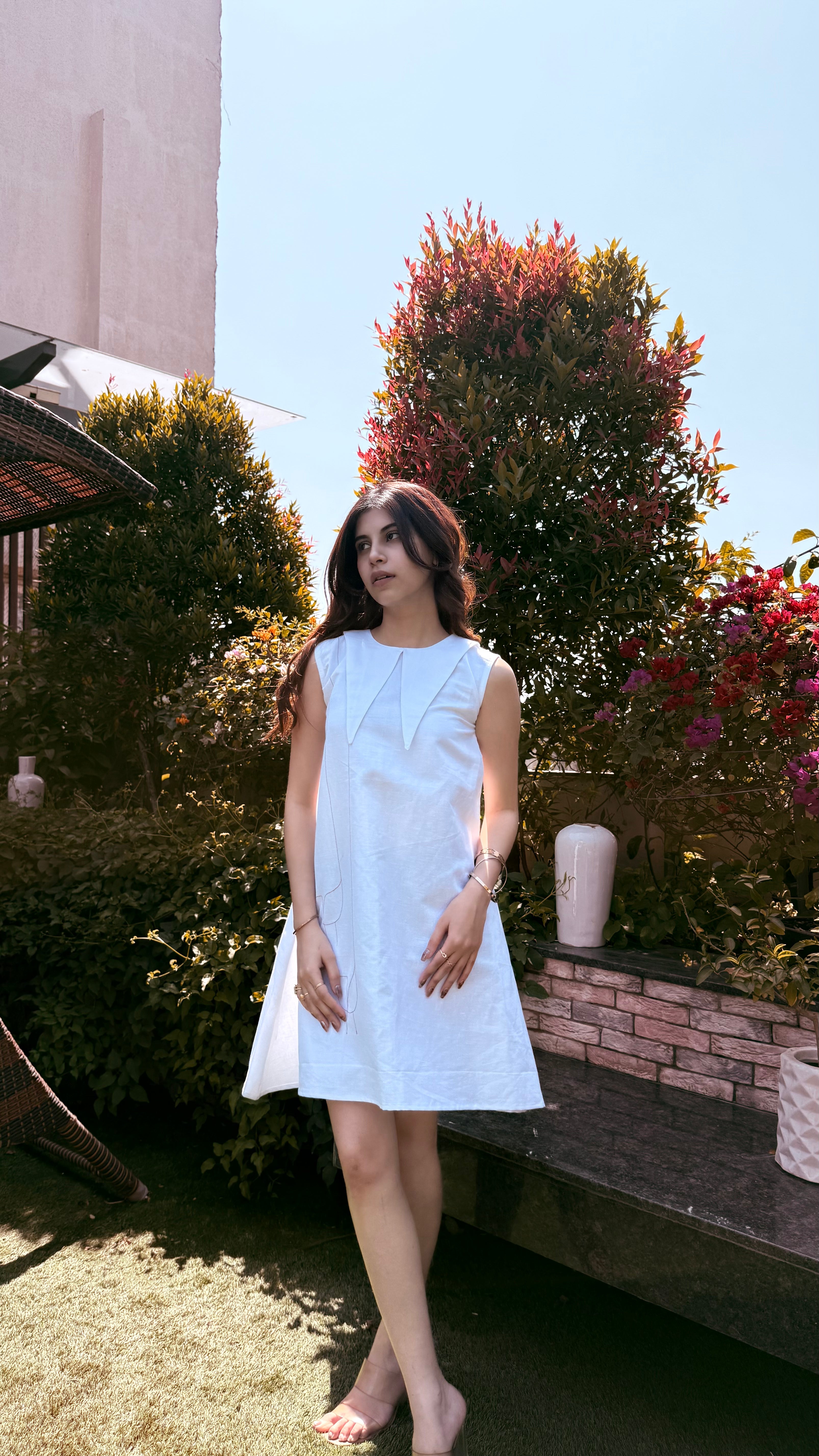 Wingline Dress